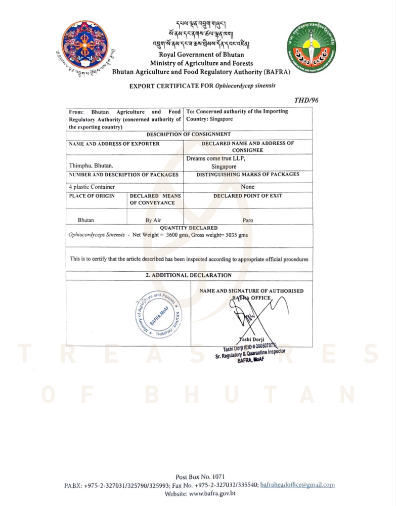 
                  
                    Bhutan WILD Cordyceps - Grade 'AAA'
                  
                
